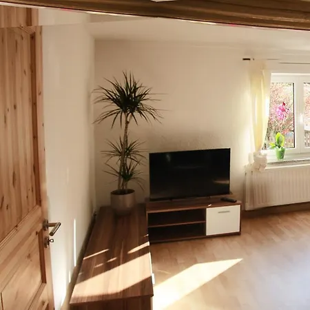 3 Seiten Ferienwohnung Jena Room photo
