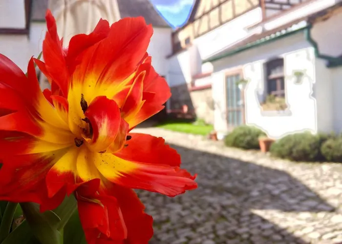 3 Seiten Ferienwohnung
