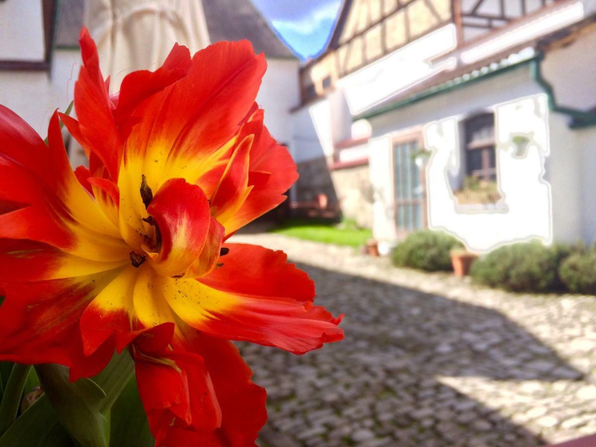 3 Seiten Apartment